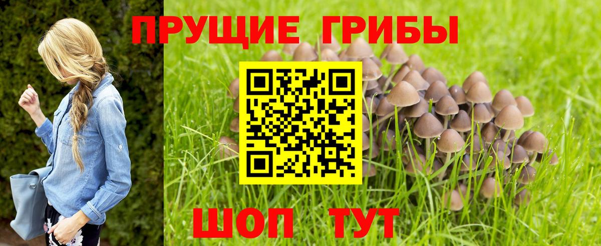 Донецк  Псилоцибиновые грибы Cubensis  где купить наркотик  Вход с VPN 