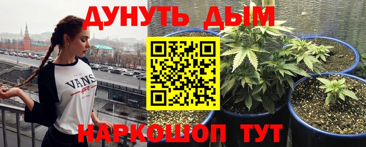 Марихуана White Widow  Бошки Шишки ГИДРОПОН  Вход с VPN  Донецк  Бошки марихуана планчик 
